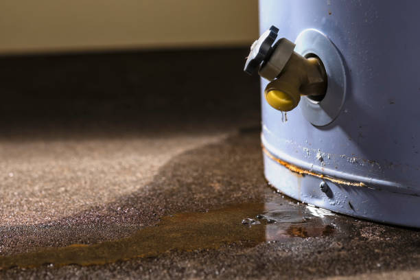 Best Carpet water damage restoration  in Williamsport, MD