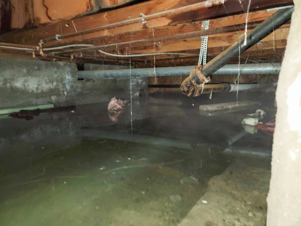 Best Water damage restoration near me  in Williamsport, MD