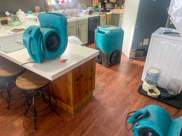 Best 24/7 water damage repair  in Williamsport, MD
