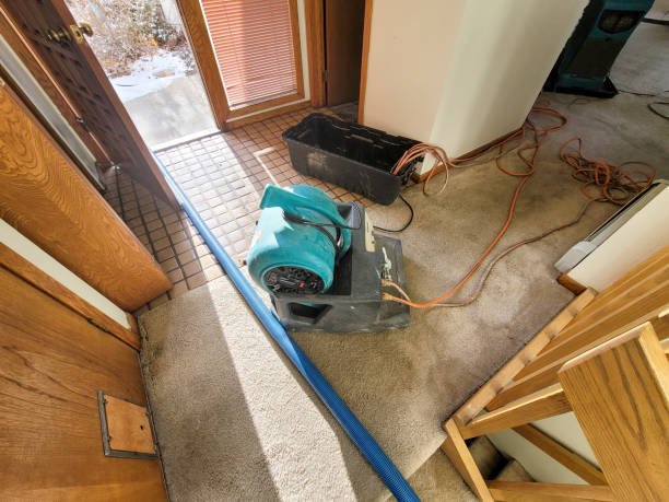Best Local water damage restoration  in Williamsport, MD