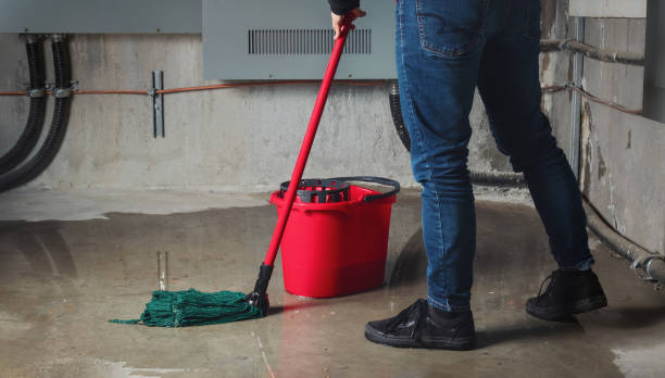 Best Water damage cleanup near me  in Williamsport, MD