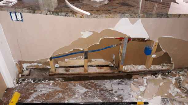Best Professional water damage repair  in Williamsport, MD