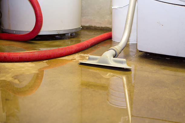 Best Flood damage cleanup  in Williamsport, MD
