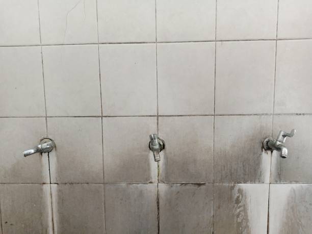 Best Water damage restoration near me  in Williamsport, MD