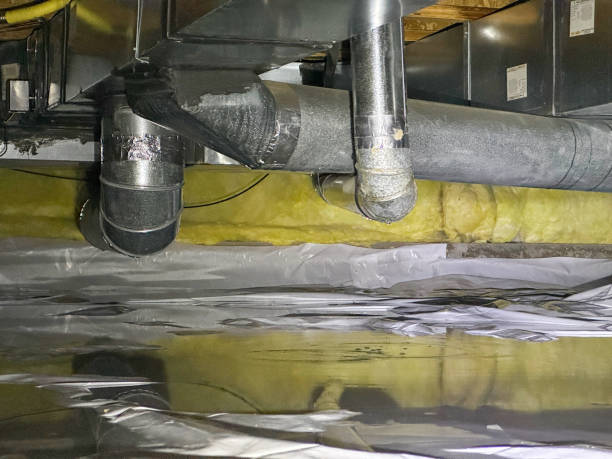 Best Basement water damage restoration  in Williamsport, MD