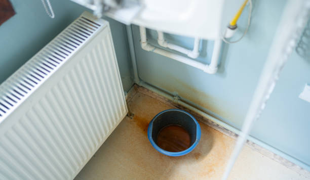 Best Carpet water damage restoration  in Williamsport, MD