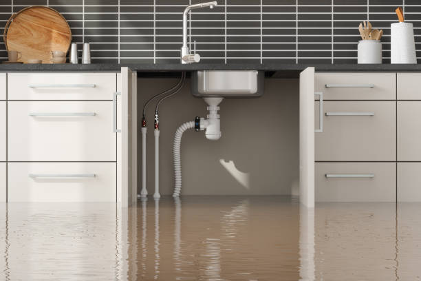 Best Local water damage restoration  in Williamsport, MD