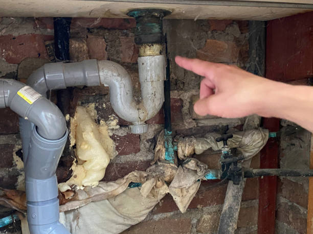 Best Sewage cleanup and water damage restoration  in Williamsport, MD