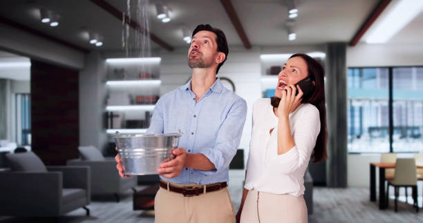 Best Flooded house restoration  in Williamsport, MD