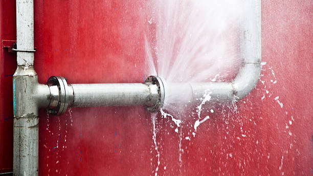 Best Flood restoration services  in Williamsport, MD